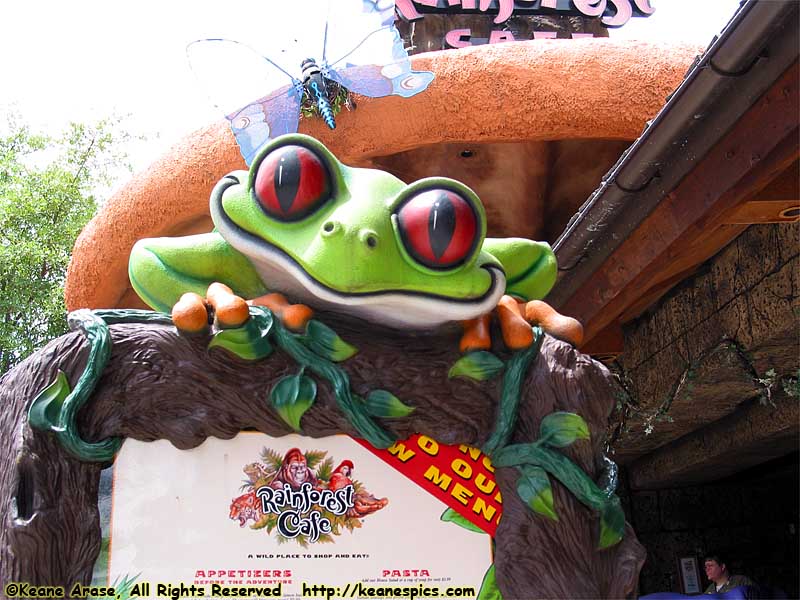 Rainforest Cafe