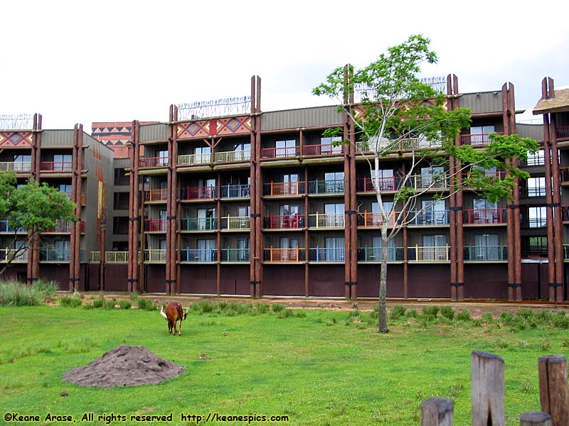 Arusha Rock Savanna Overlook