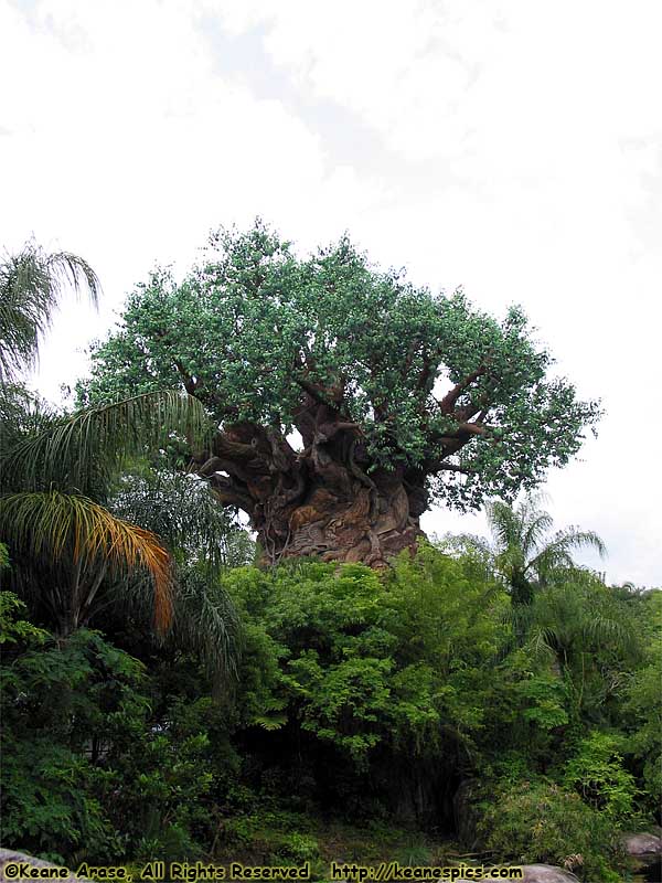 Discovery Island