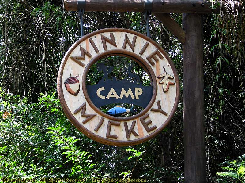 Camp Minnie Mickey