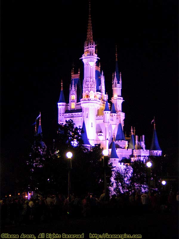 Cinderella Castle