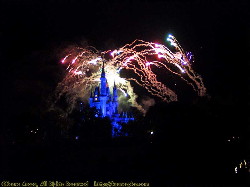 Wishes Nighttime Spectacular