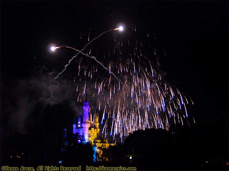 Wishes Nighttime Spectacular