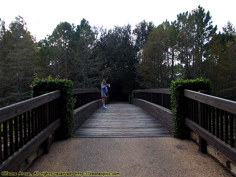 Bridge to Ol' Man Island