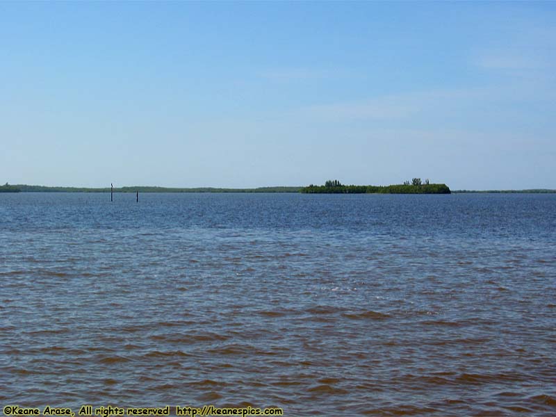 Everglades Boat Tour