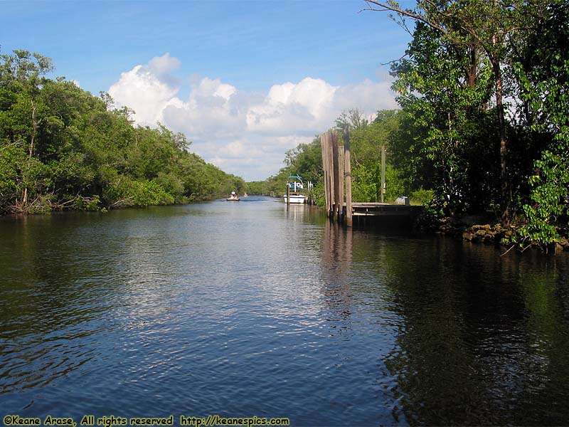 Everglades Boat Tour