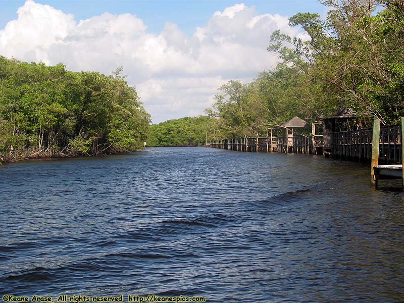 Everglades Boat Tour