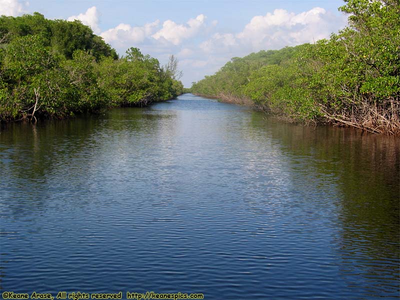 Everglades Boat Tour