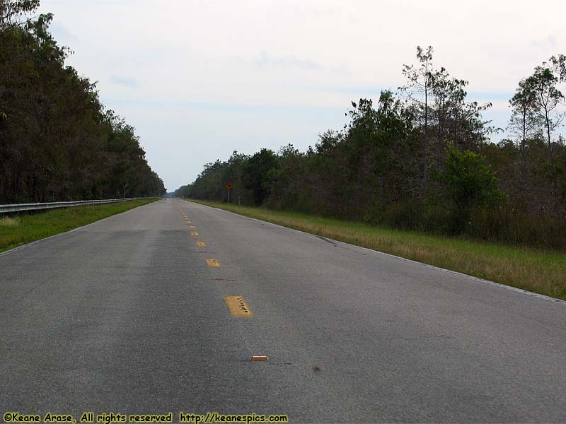 Tamiami Trail