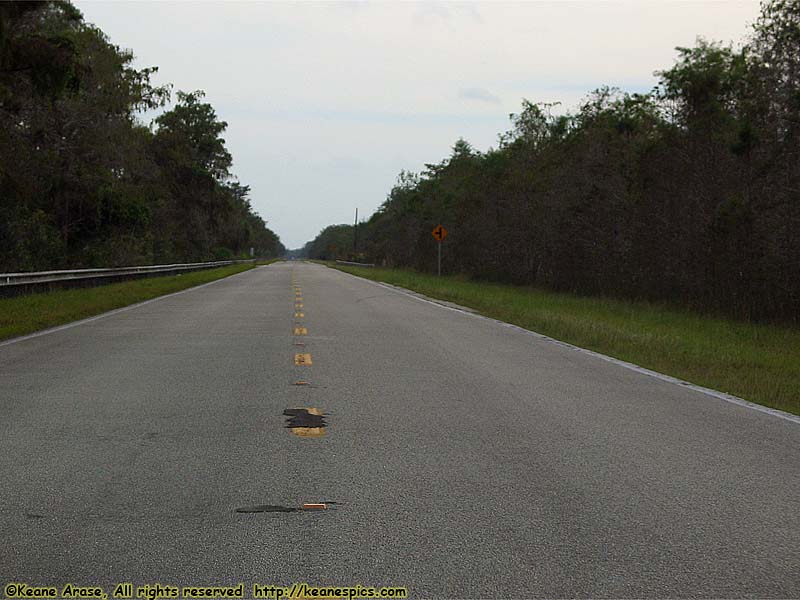 Tamiami Trail