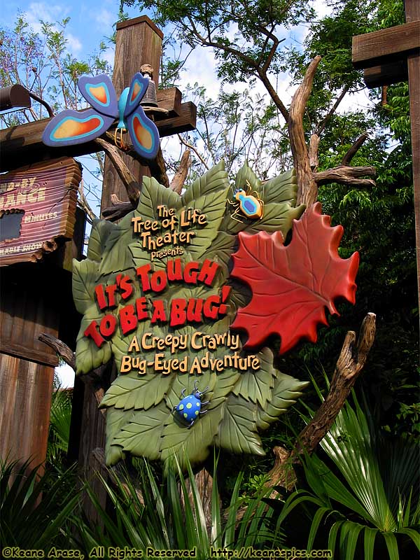 Discovery Island