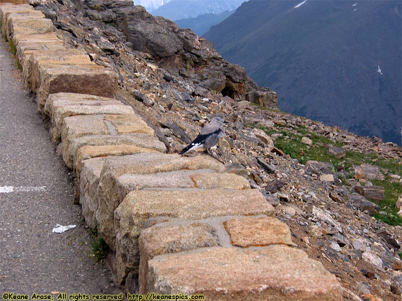 US-34, Trail Ridge Road