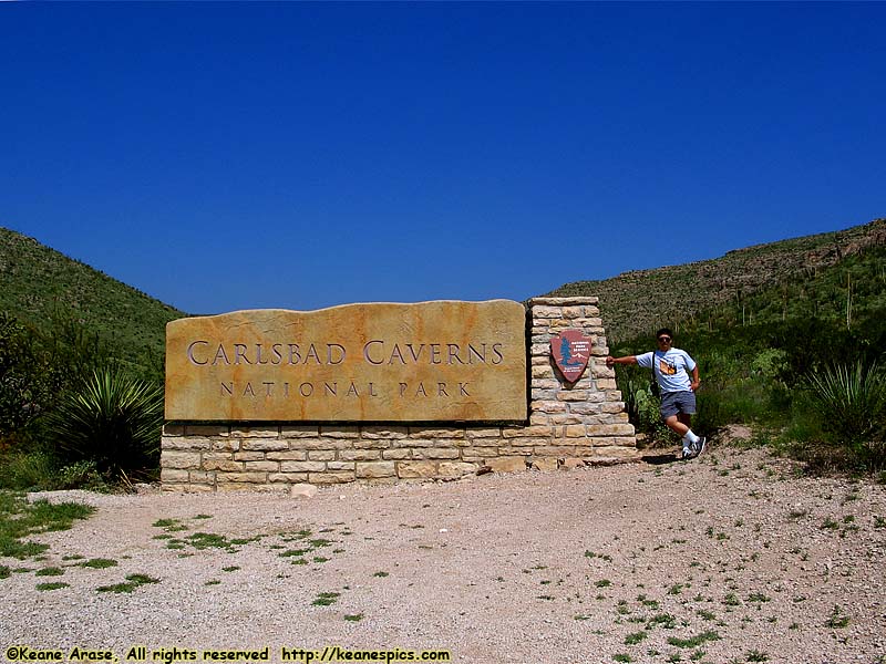 Entrance Sign