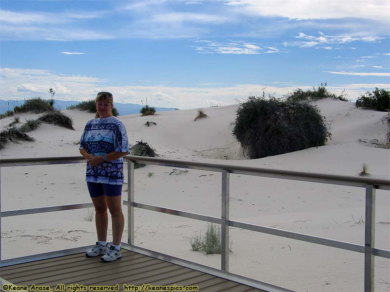 Interdune Boardwalk