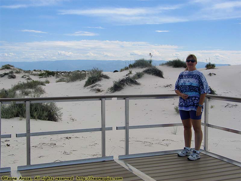 Interdune Boardwalk