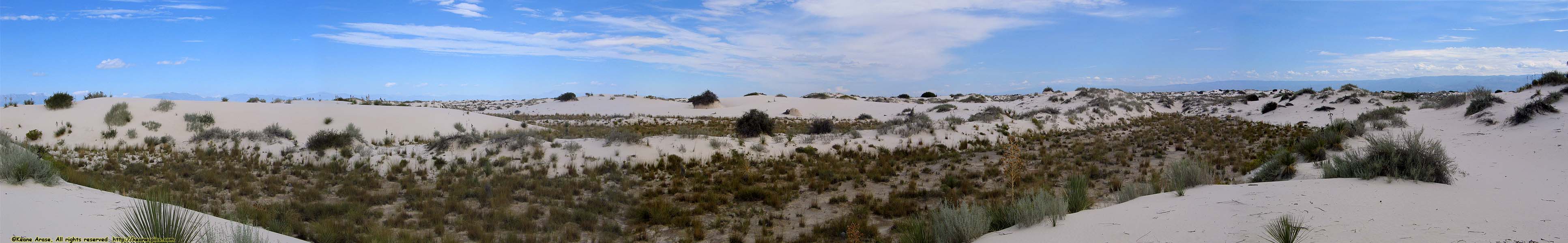 Interdune Boardwalk