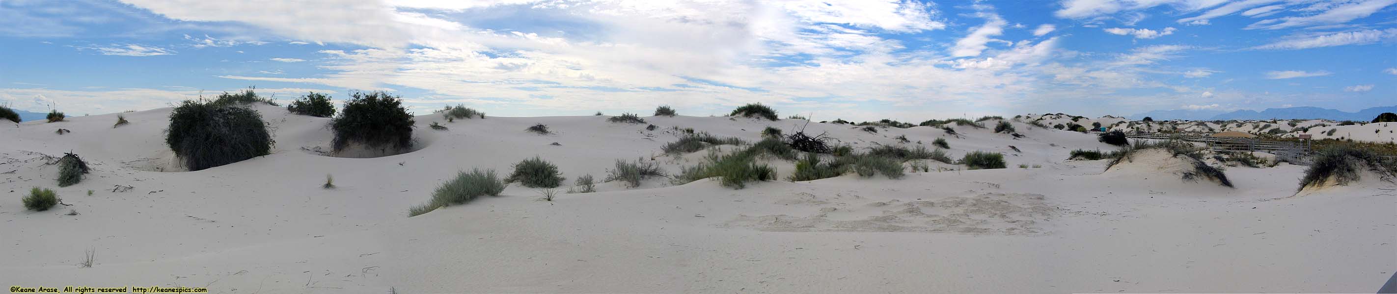 Interdune Boardwalk