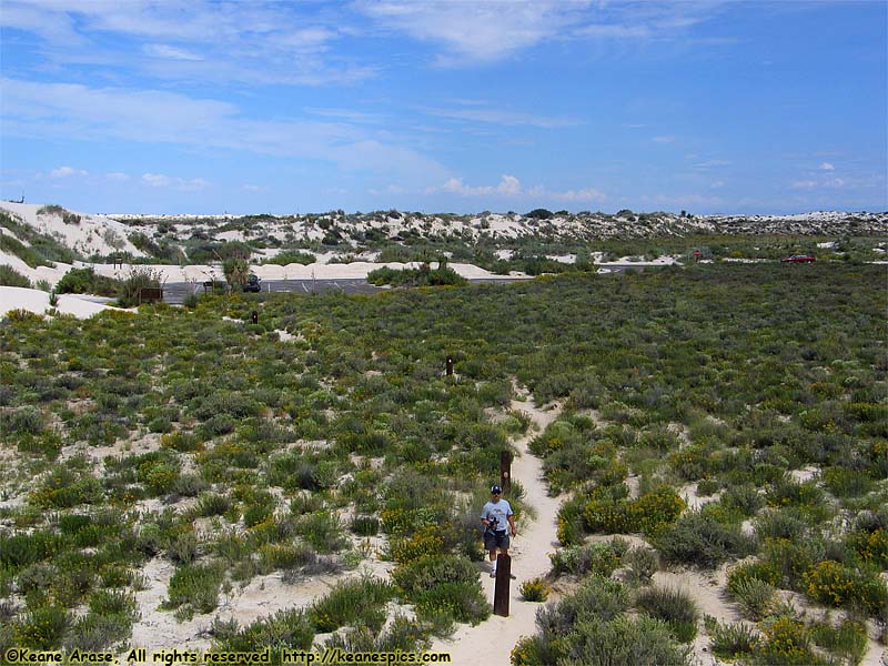 Big Dune Nature Trail