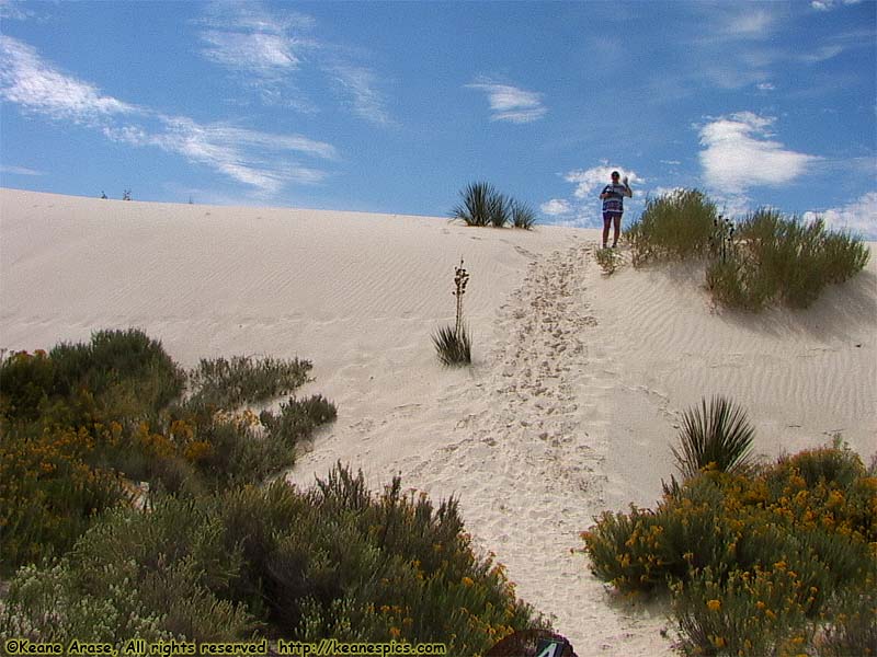 Big Dune Nature Trail