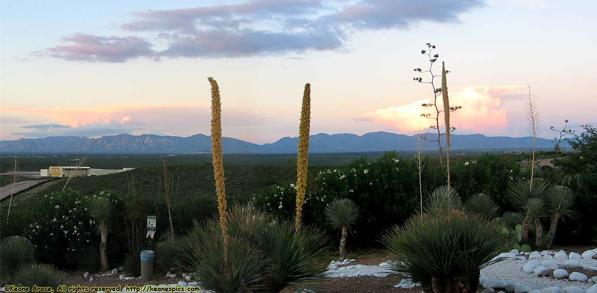 Best Western Lookout Lodge