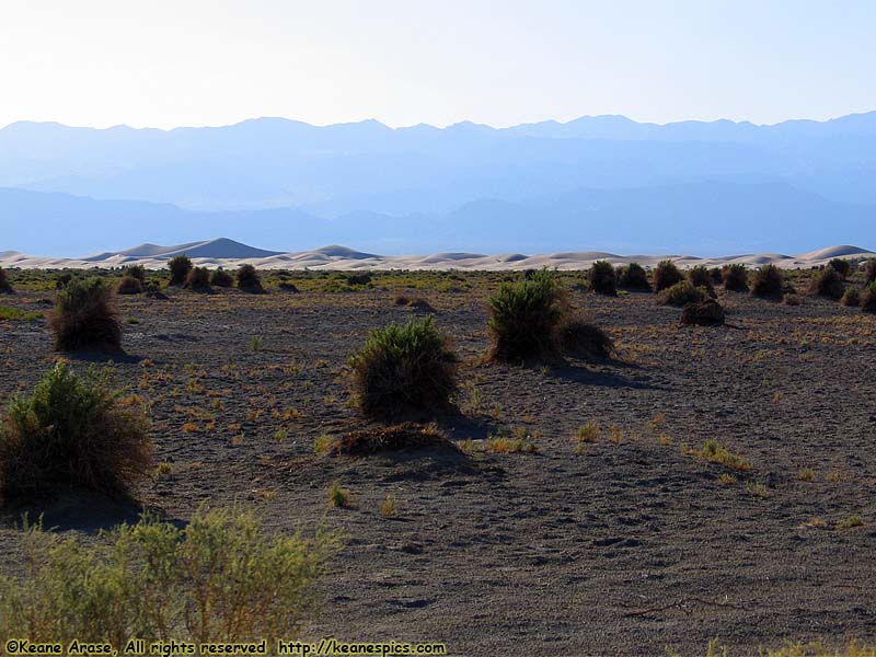 Sand Dunes