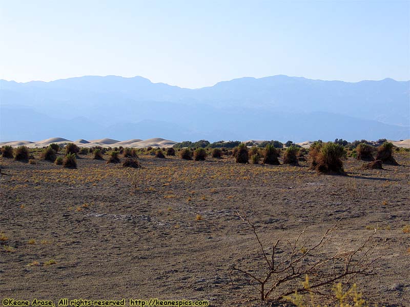 Sand Dunes