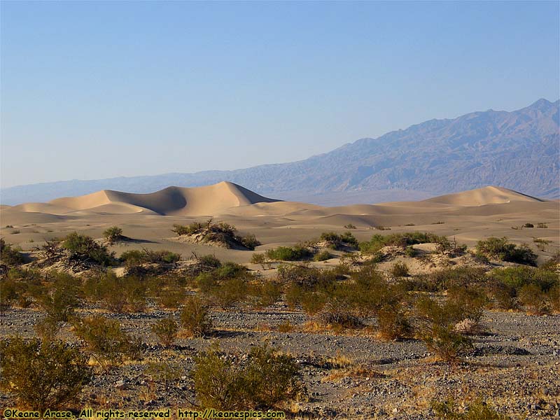 Sand Dunes