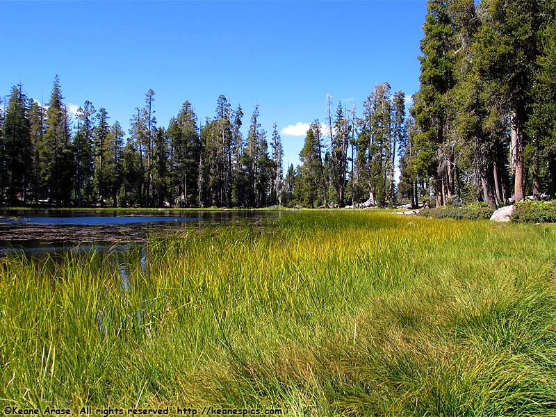 Tioga Road