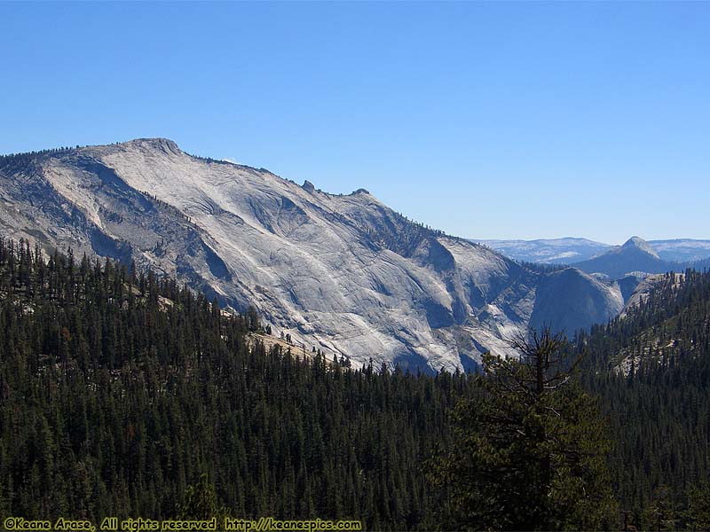 Along Tioga Road