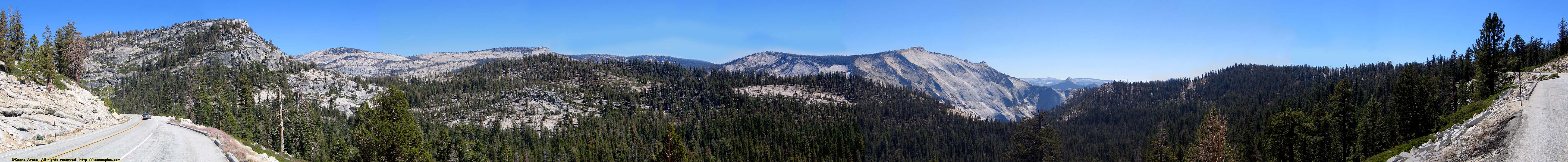 Along Tioga Road