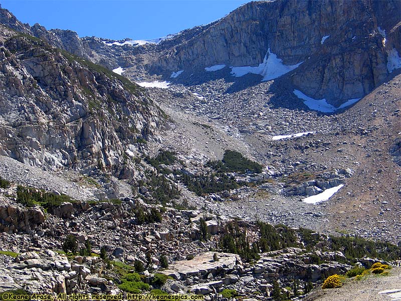 Along Tioga Road