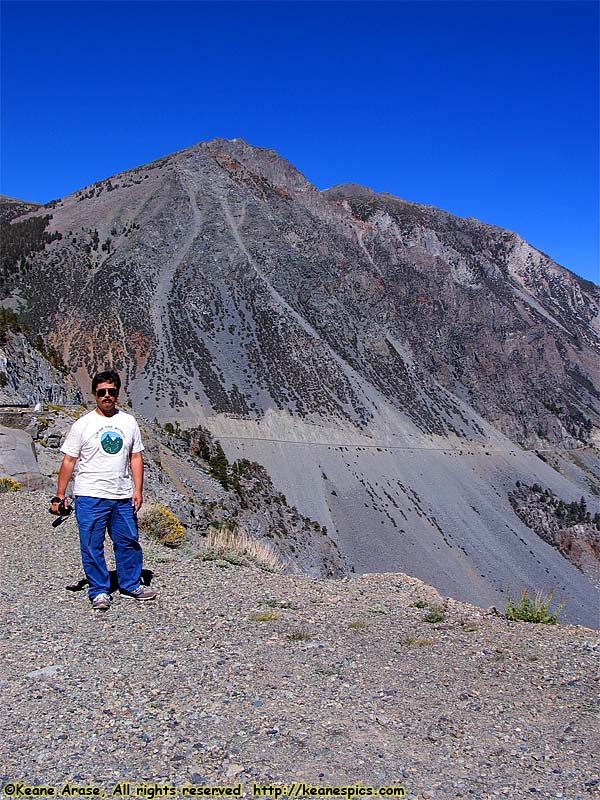 Along Tioga Road