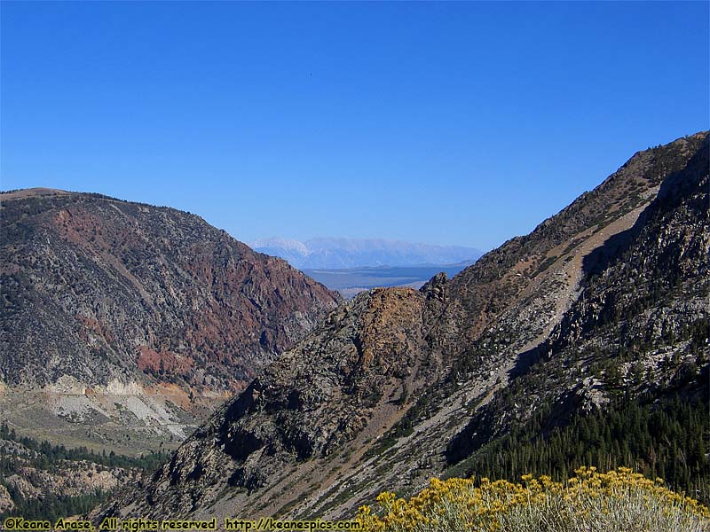 Along Tioga Road