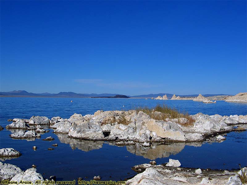 Old Marina Site