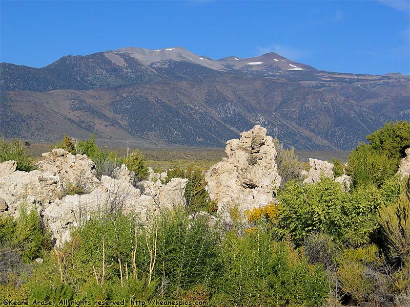 South Tufa Area