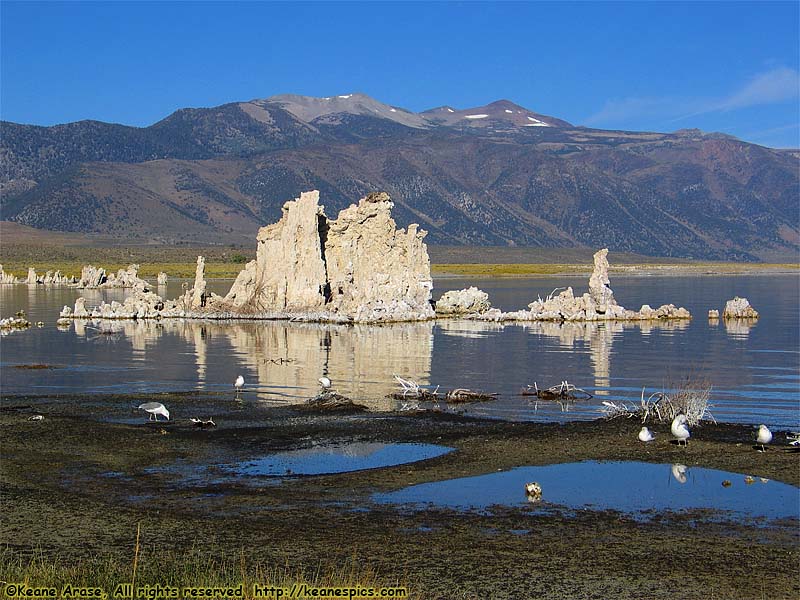 South Tufa Area