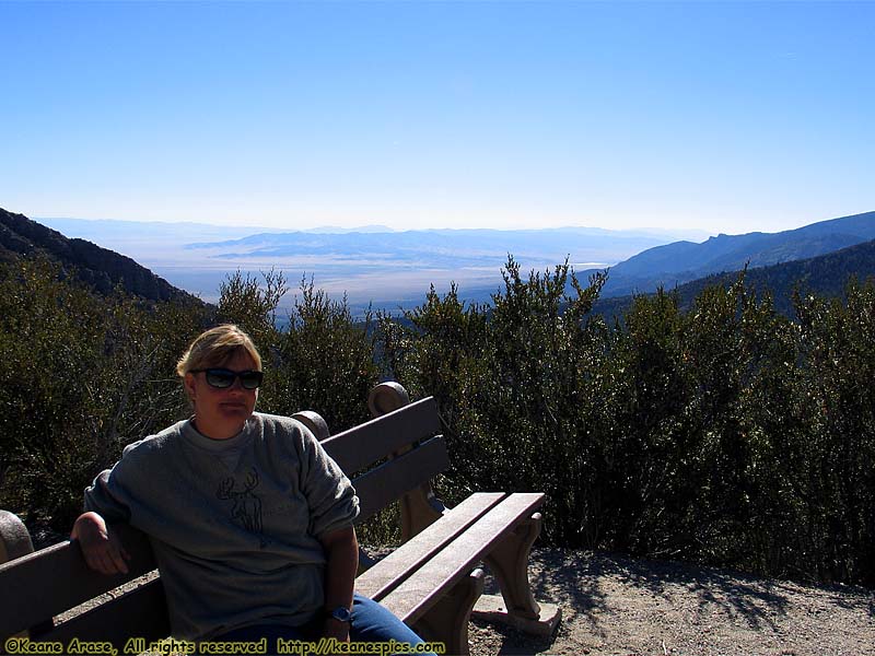 Wheeler Peak Drive