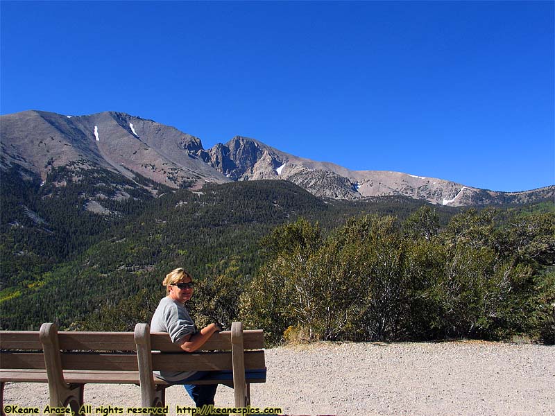 Wheeler Peak Drive