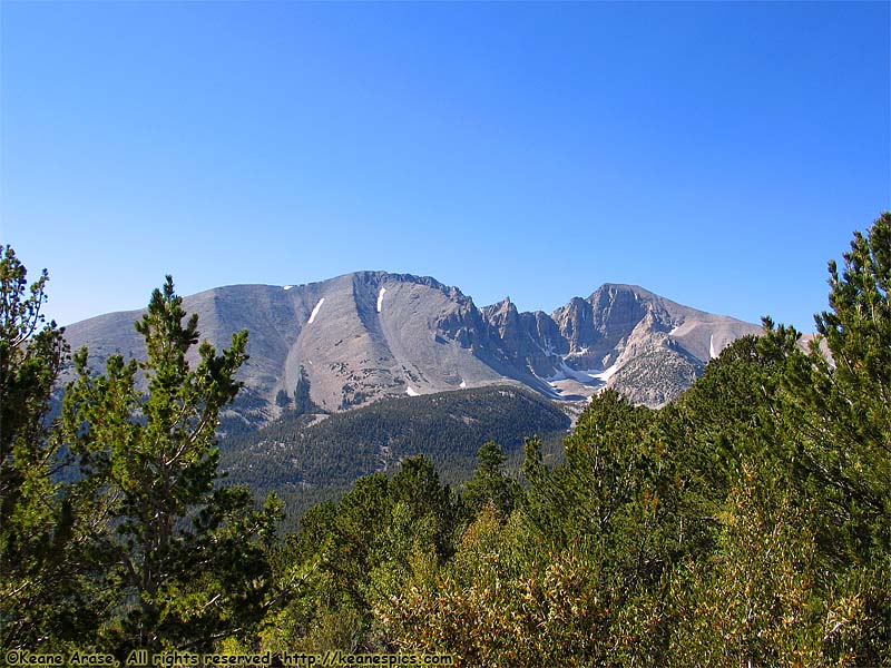 Wheeler Peak