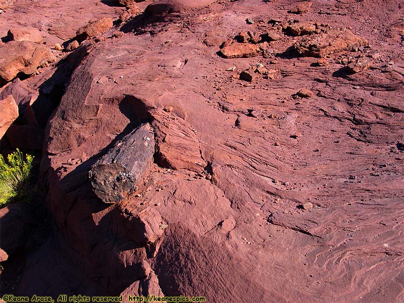 Taken during my Colorado River Jetboat Tour