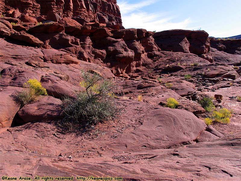 From Moab to Canyonlands