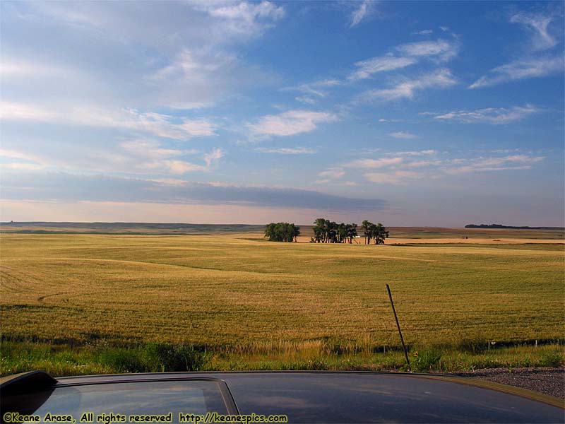 Big Sky country, early morning.