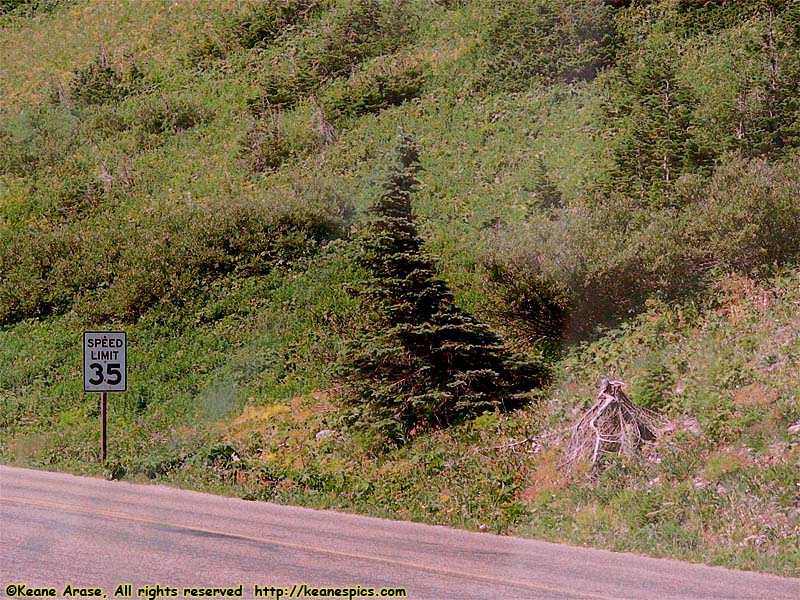 Going to the Sun Road E