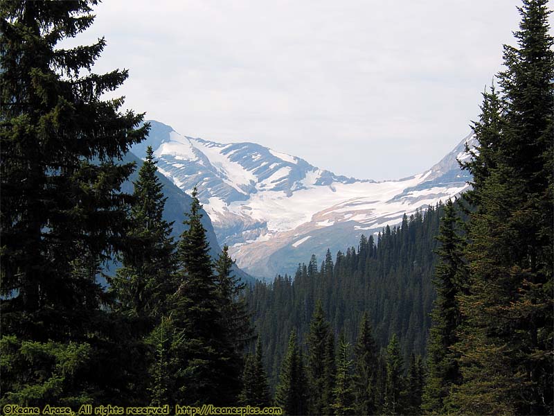 Going to the Sun Road E