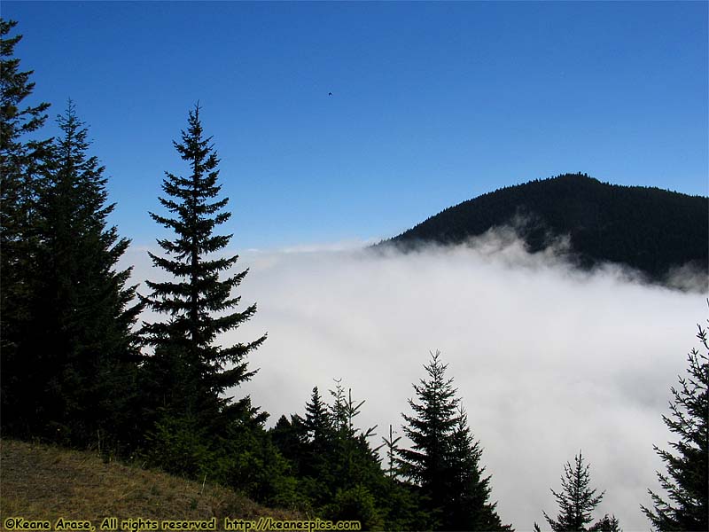 Hurricane Ridge Road