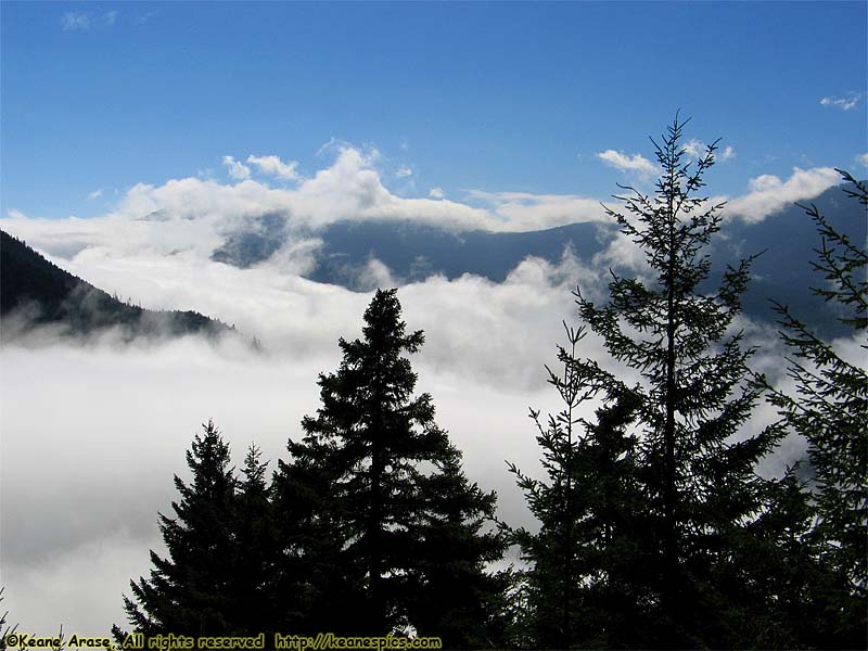 Hurricane Ridge Road