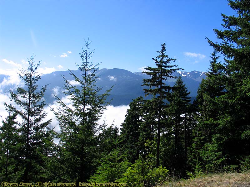 Hurricane Ridge Road