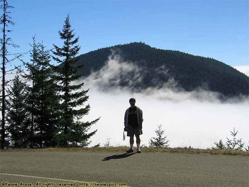 Hurricane Ridge Road