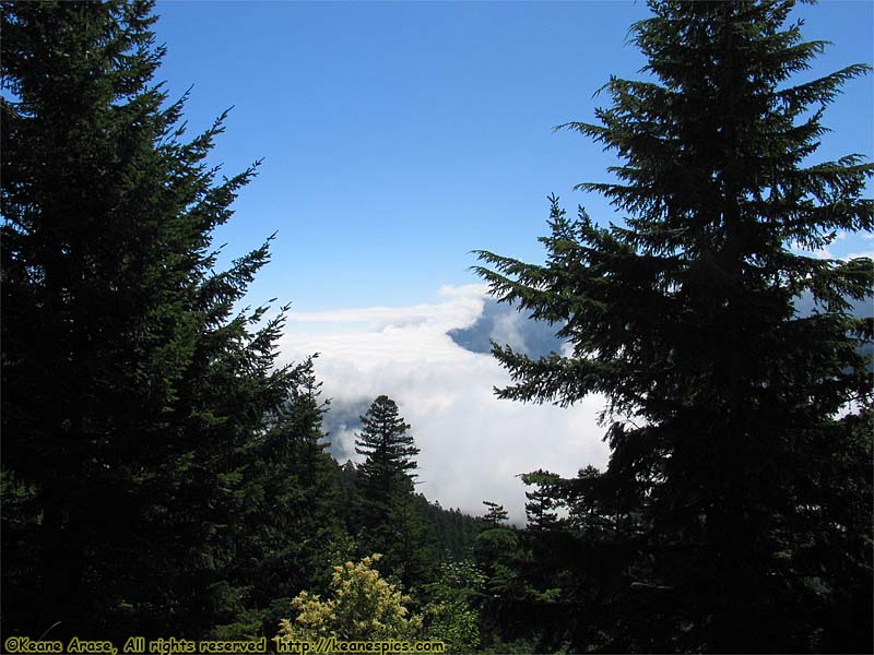 Hurricane Ridge Road