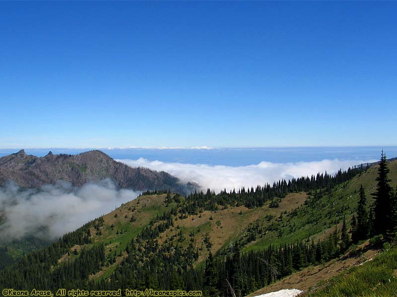 Hurricane Ridge Visitors Center (North View)